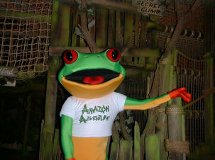 adventureatamazon frog