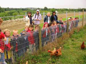 feeding the chickens at Earth Centre