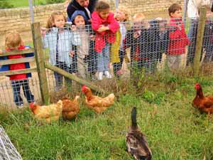 feeding the chickens at Earth Centre
