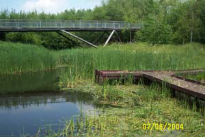 photo of fishing lake and bridge