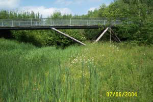 photograph of mccolgans bridge at earth attraction doncaster