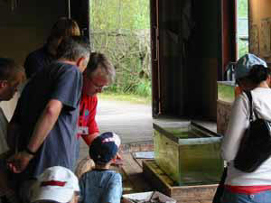 Pond dipping at Earth Centre